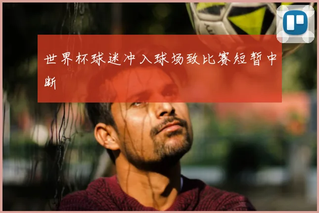 世界杯球迷冲入球场致比赛短暂中断