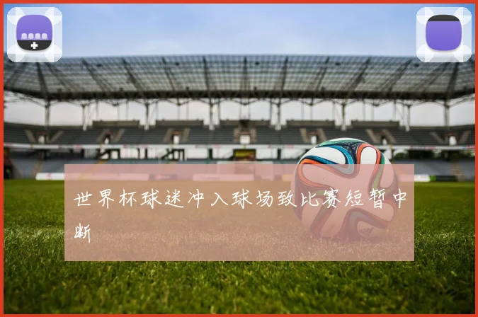 世界杯球迷冲入球场致比赛短暂中断