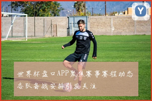 世界杯盘口APP聚焦赛事赛程动态 各队备战安排引发关注