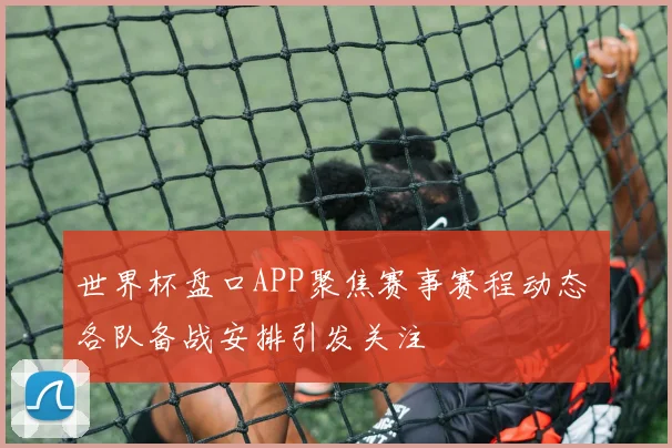 世界杯盘口APP聚焦赛事赛程动态 各队备战安排引发关注
